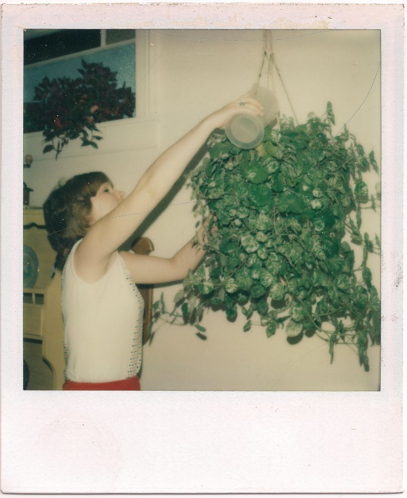 Watering the hanging ivy plant is a reach