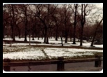 Touring snowy central park