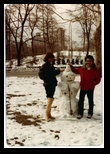 Snowman in Central Park