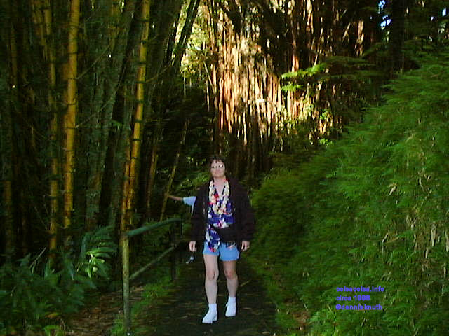 Sherri walks the rain forest