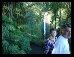 Sherri and Justin with Akaka Falls in the background