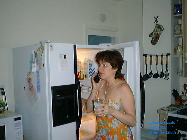 Rose on the phone and in the Refrigerator