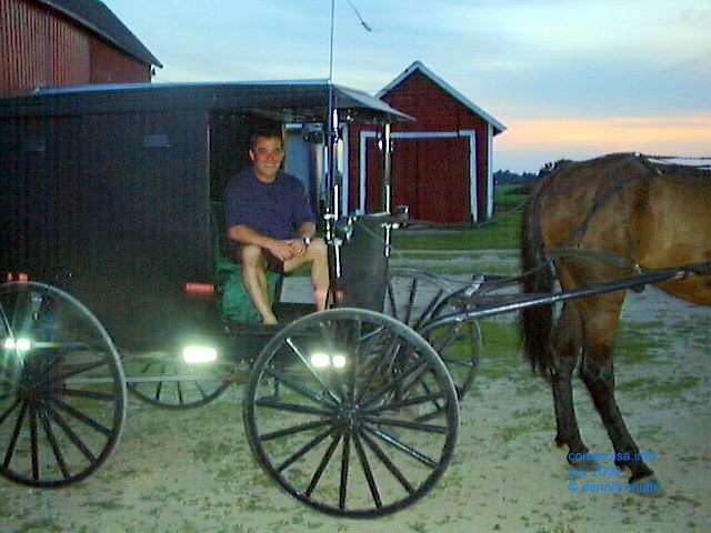 Helton in an Amish buggy
