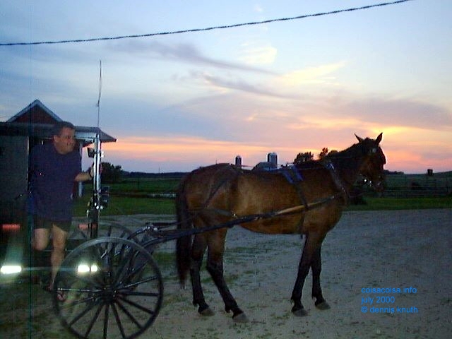 Amish Horse at Sunset in Durand Wisconsin