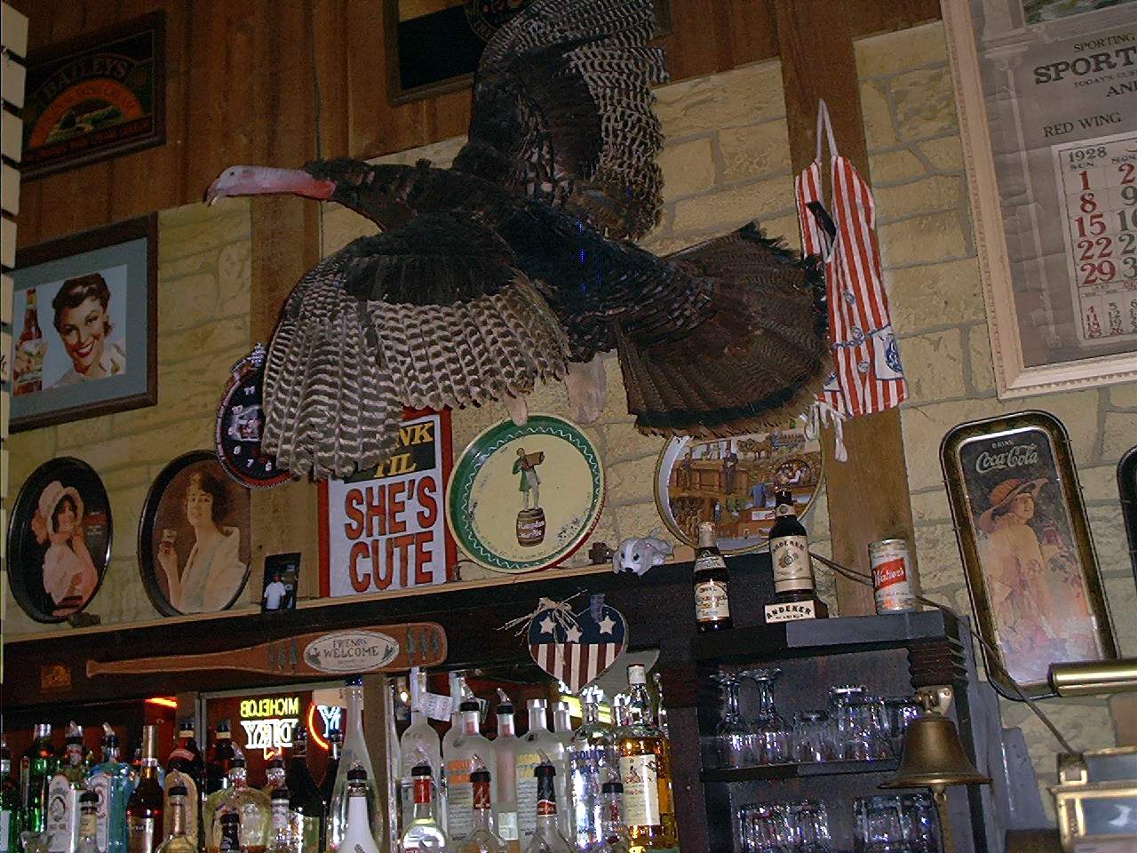 Wild Turkey over a bar