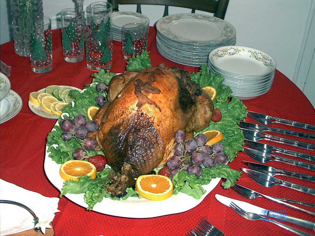 Turkey, stuffed, presented on a platter with orange slices and grapes