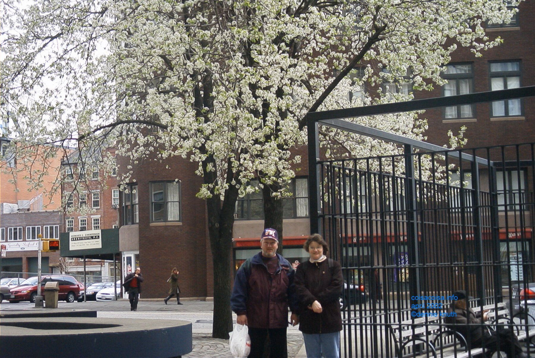 Flowering Trees blossom in April in New York City