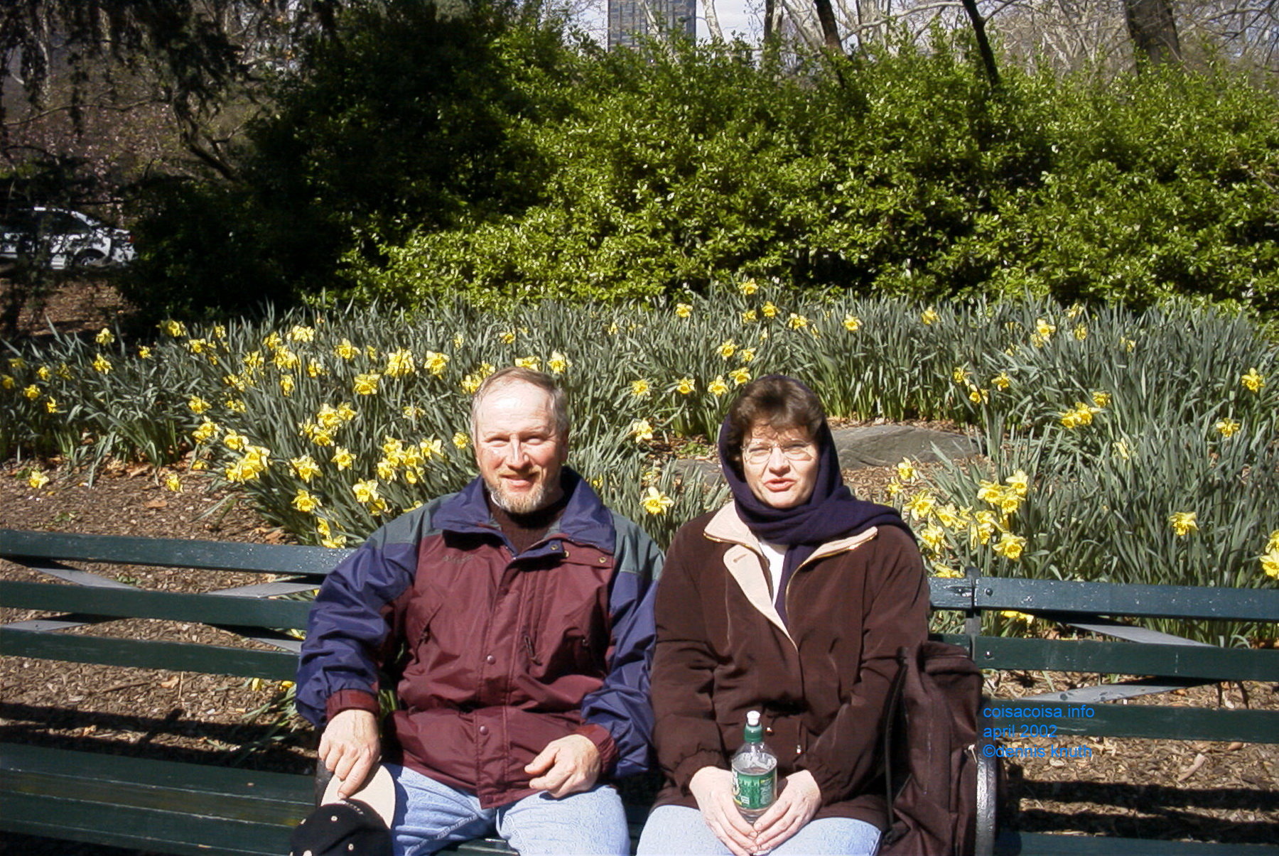 Daffodils and Jonquils and people in the Park
