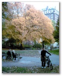 Patricia Silesia in Central Park in the Autumn of 2002
