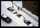 blizzard burried cars