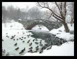 Central Park - Presidents Day Blizzard - February 17 2003