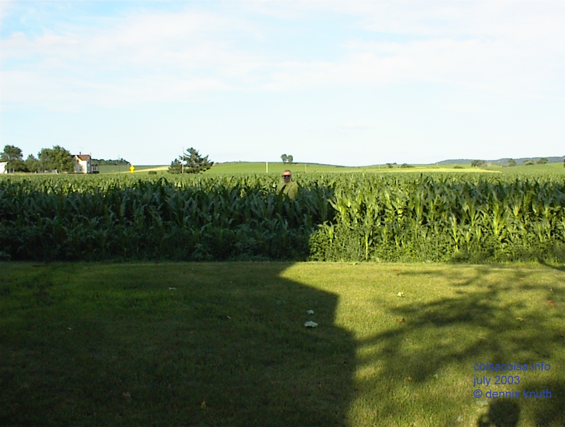 Dennis Depaulo in a field of corn