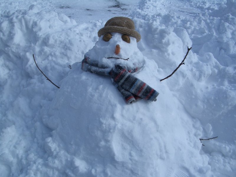 January Snowman in Elmhurst