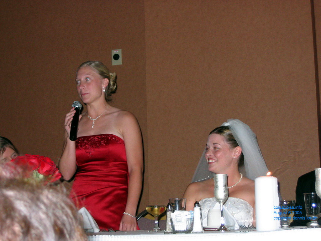 Speechifying bridesmaid