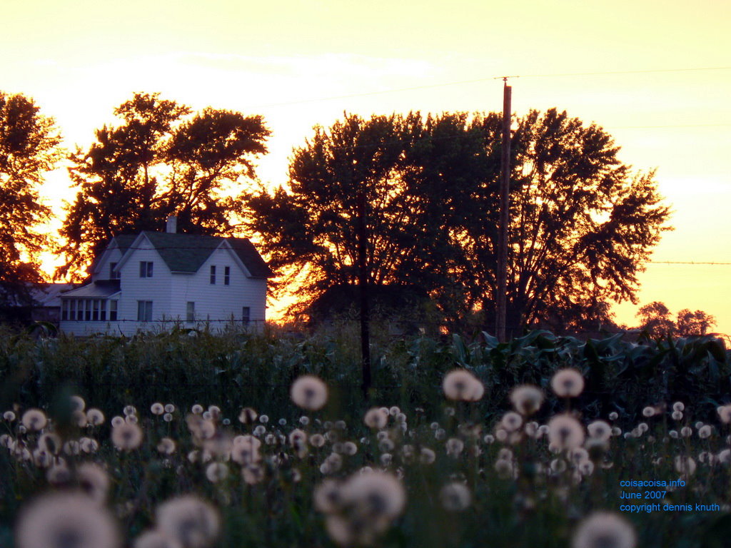 Dandelion farm house in Wisconsin