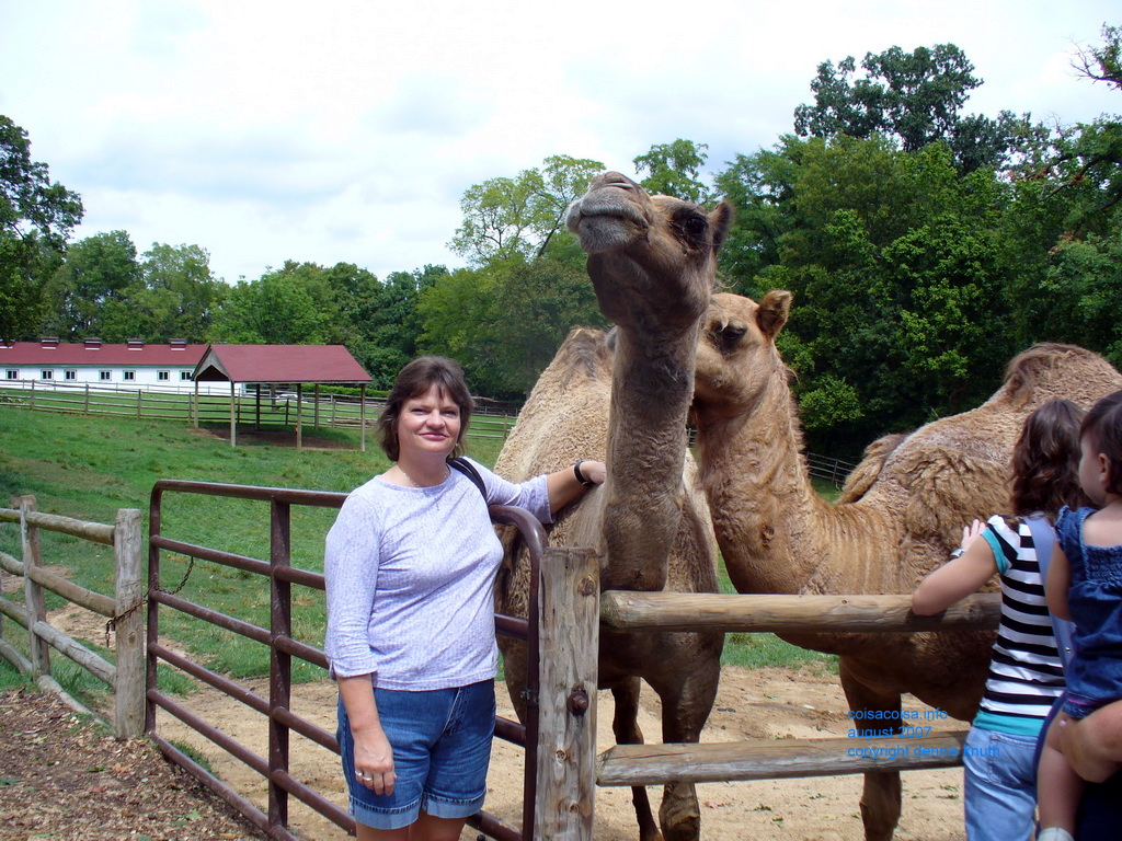 Sherri cuddling up to the camels