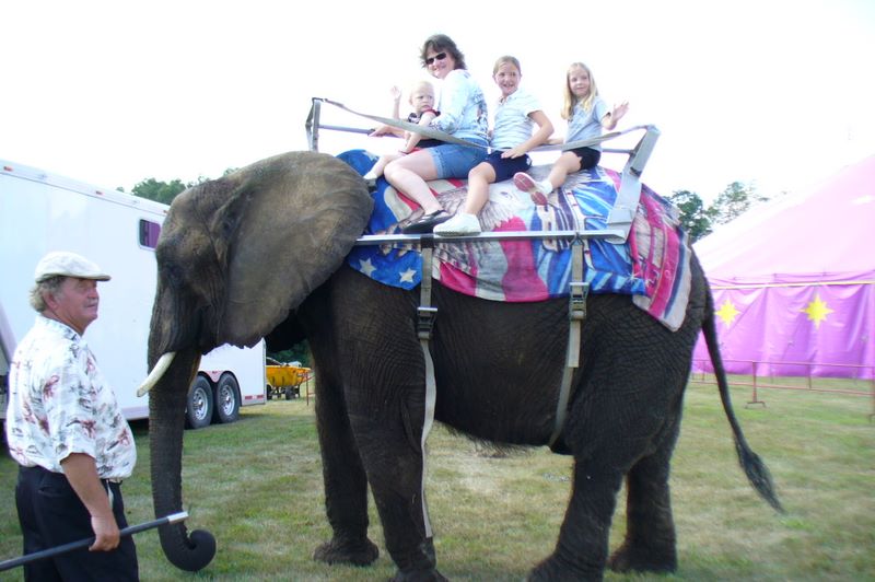 Jared and Sherri Ride an Elephant