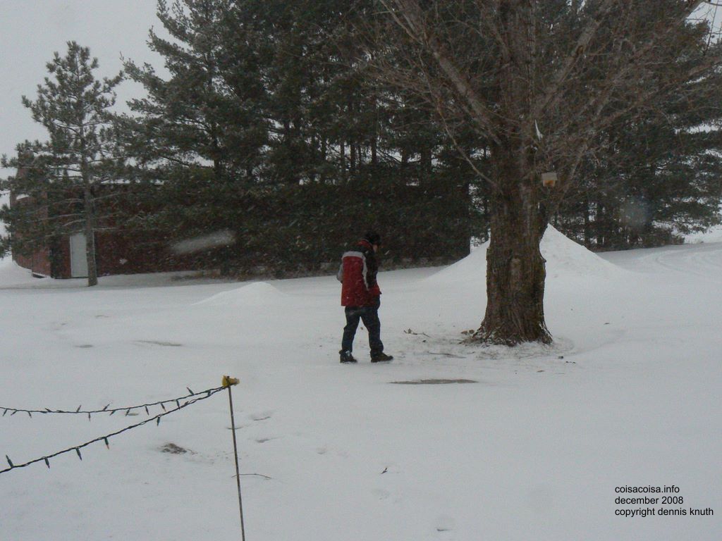 Helton walking out to take a pee by the tree 