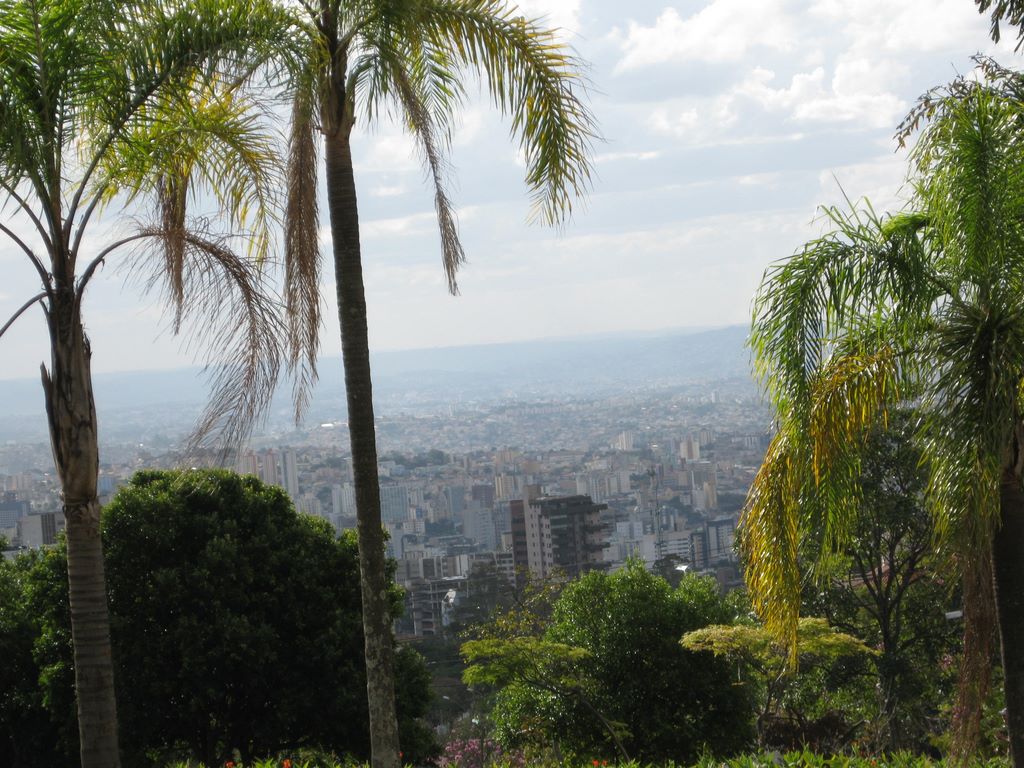 Brazil through the Palms in Belo Horizonte