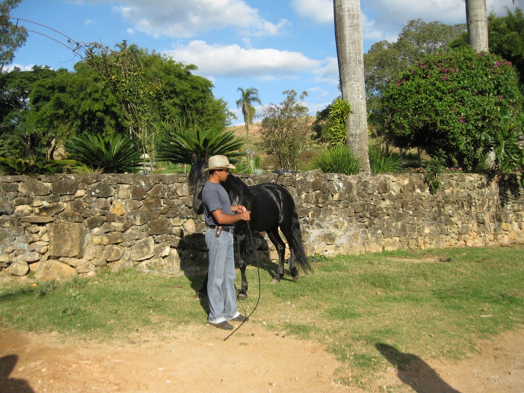 Brazilian Horse Handler