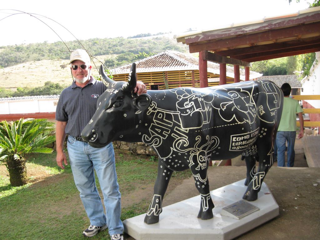 The artwork Cow on Gutinho and Angela's Cattle Ranch and Coffee Plantation