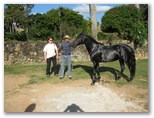 Sherri and the Brazilian Horse Trainer