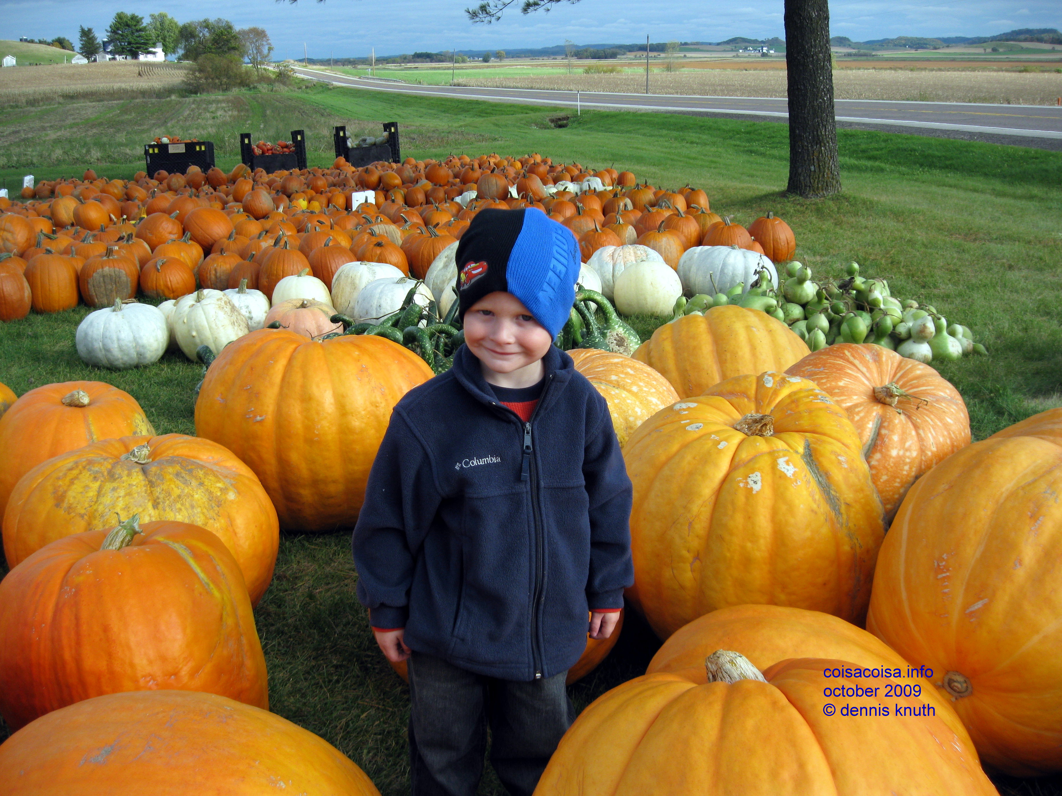 Jared in the Pumpkin Patch