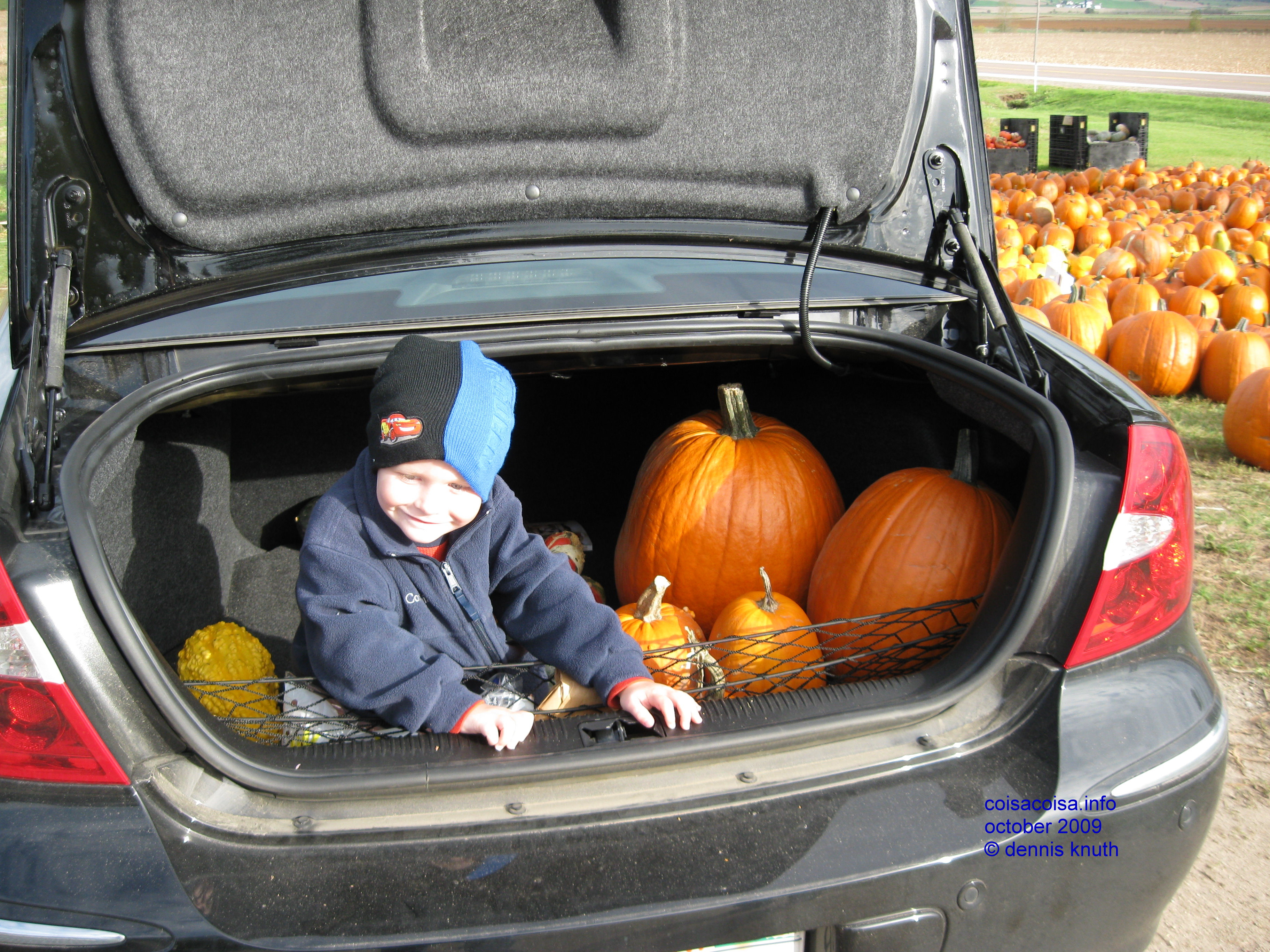 Jared helps put the gourds and pumpkins in the trunk