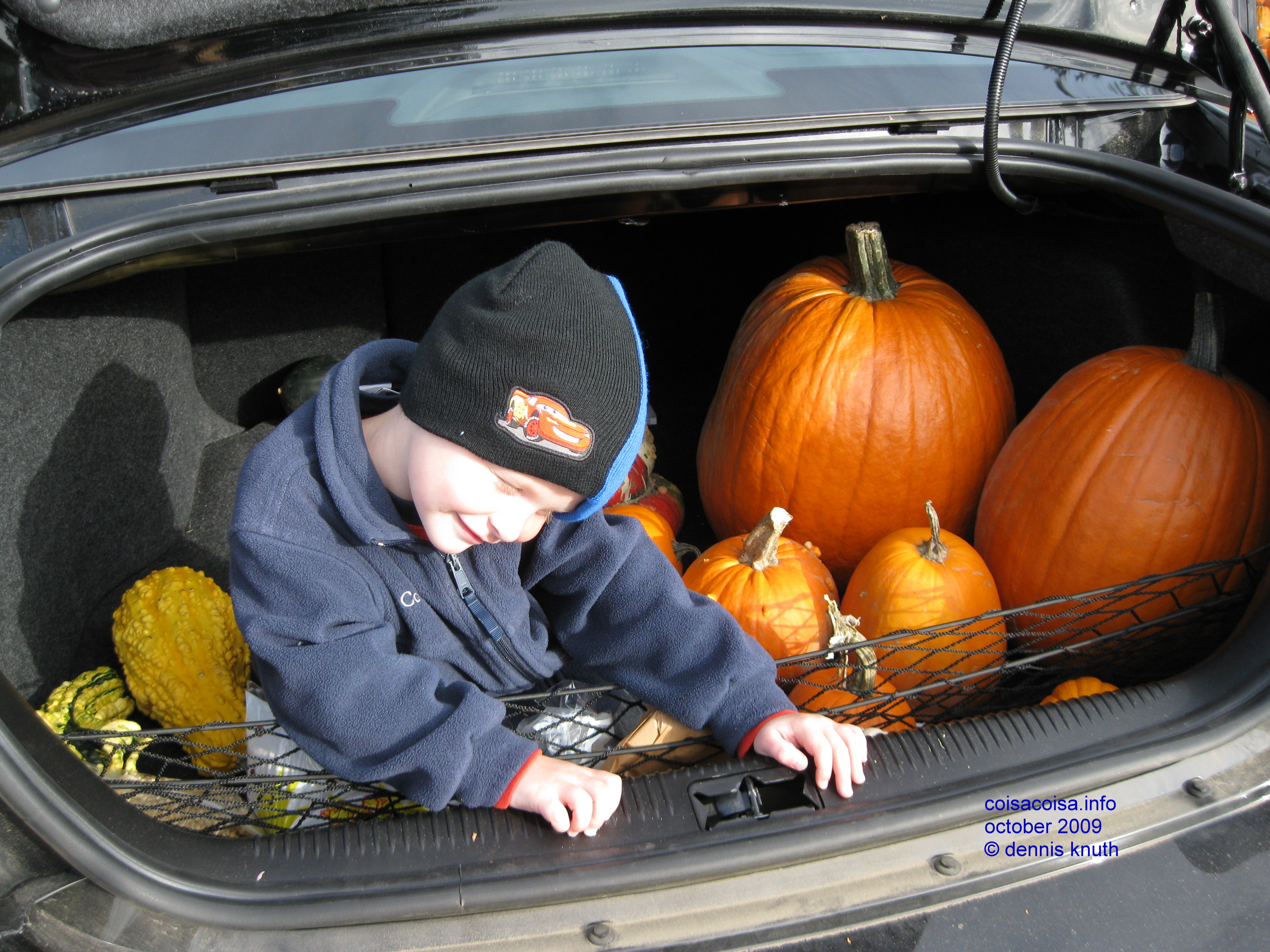 Setting in the Trunk with gourds and pumpkins