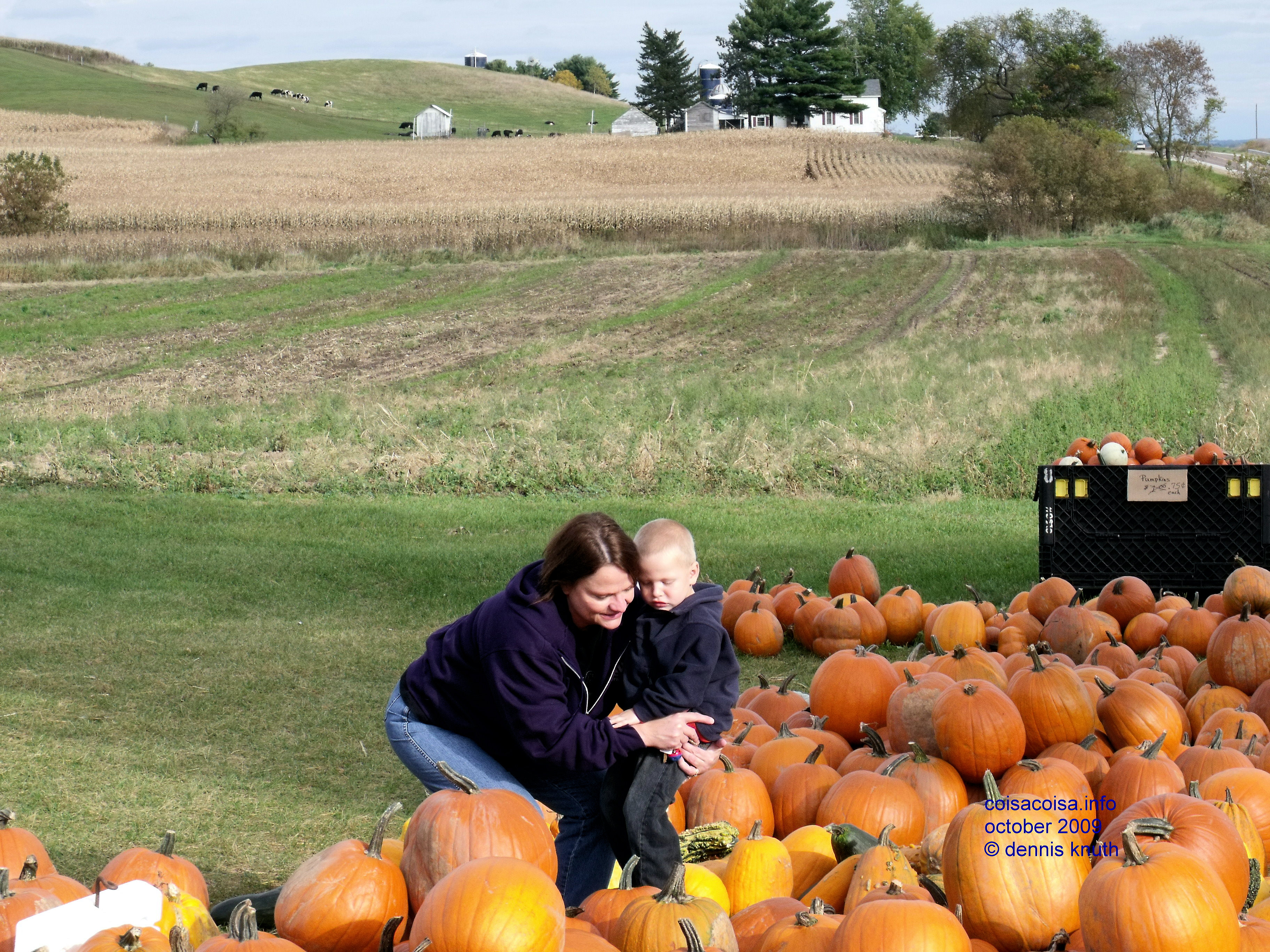 Grandmother helping Jared decide on a Great pumpkin