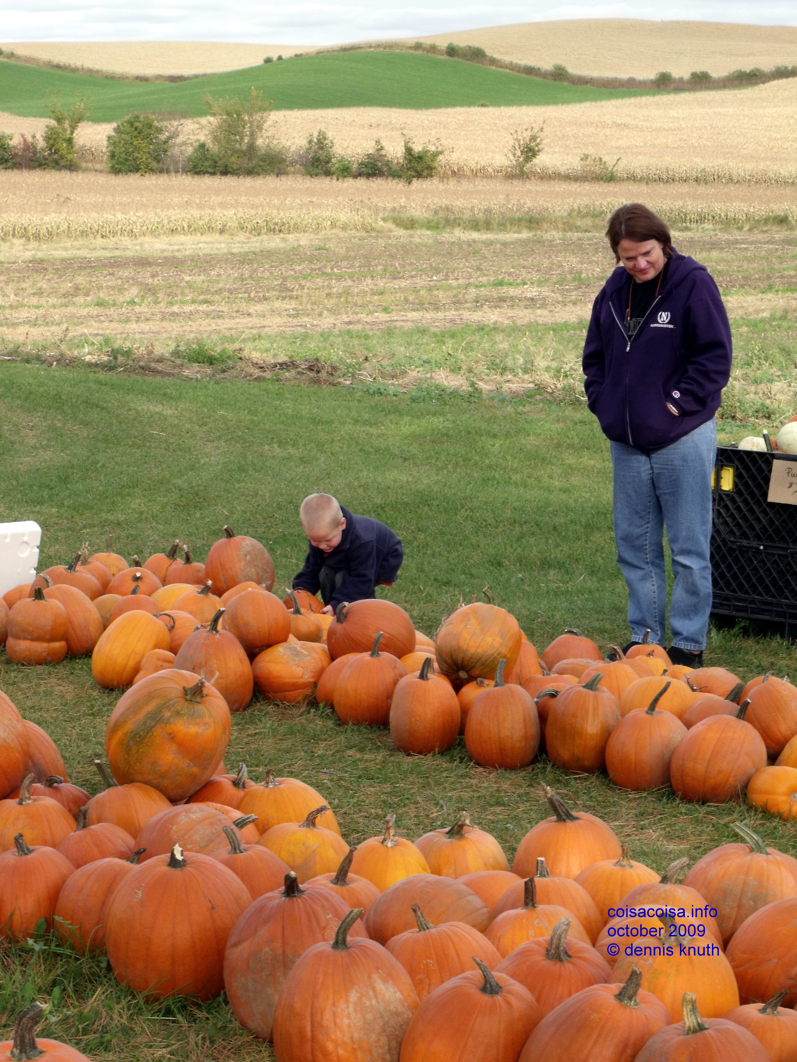 Jared picking his Great Pumpkin