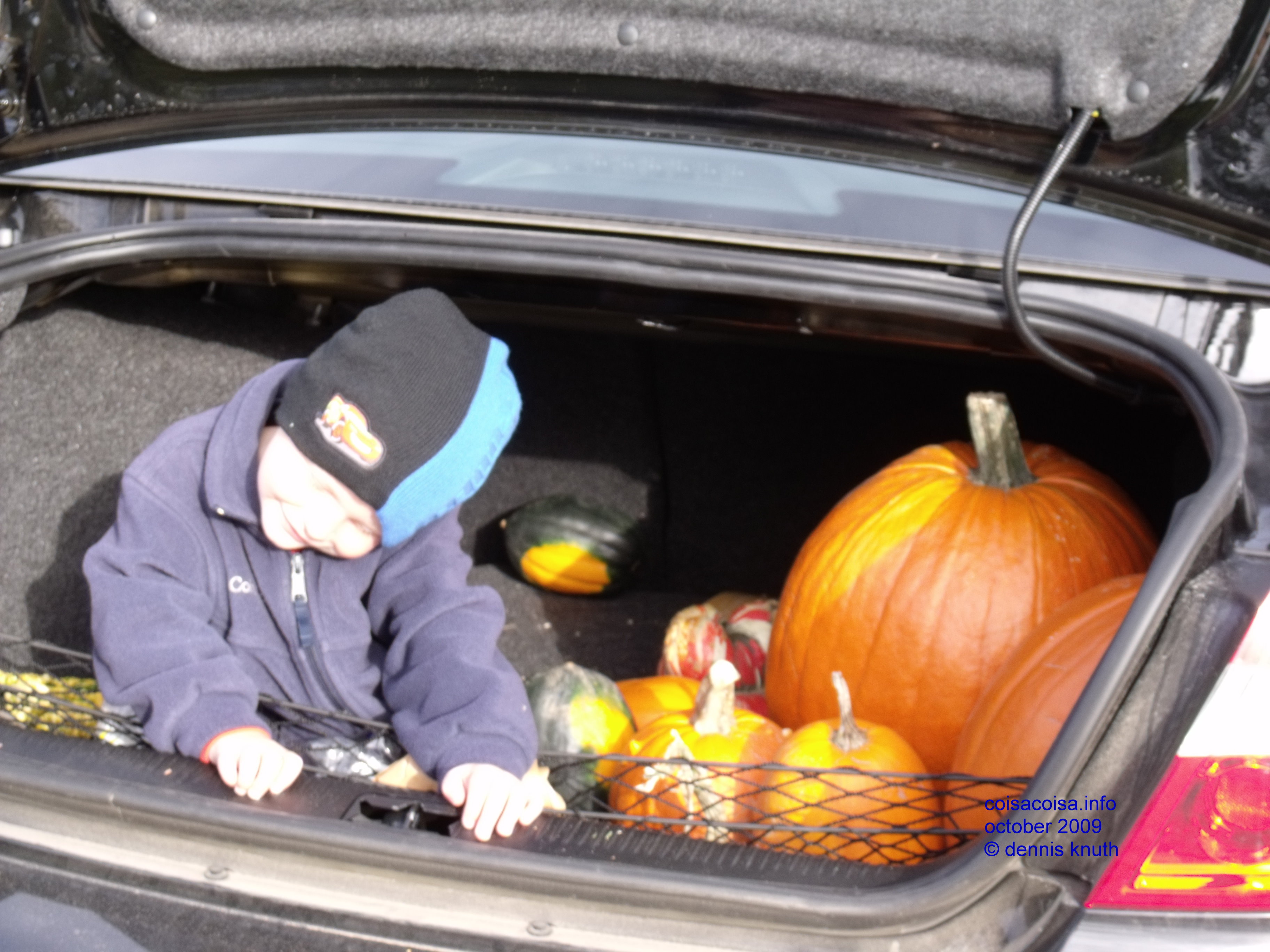 Pumpkin pickin Jared in the car trunk
