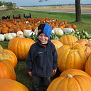 Jared is overwhelmed by all the pumpkins in the pumpkin patch