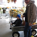 Wagon load of pumpkins and gourds to purchase