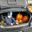 Putting the pumpkins and gourds in the trunk