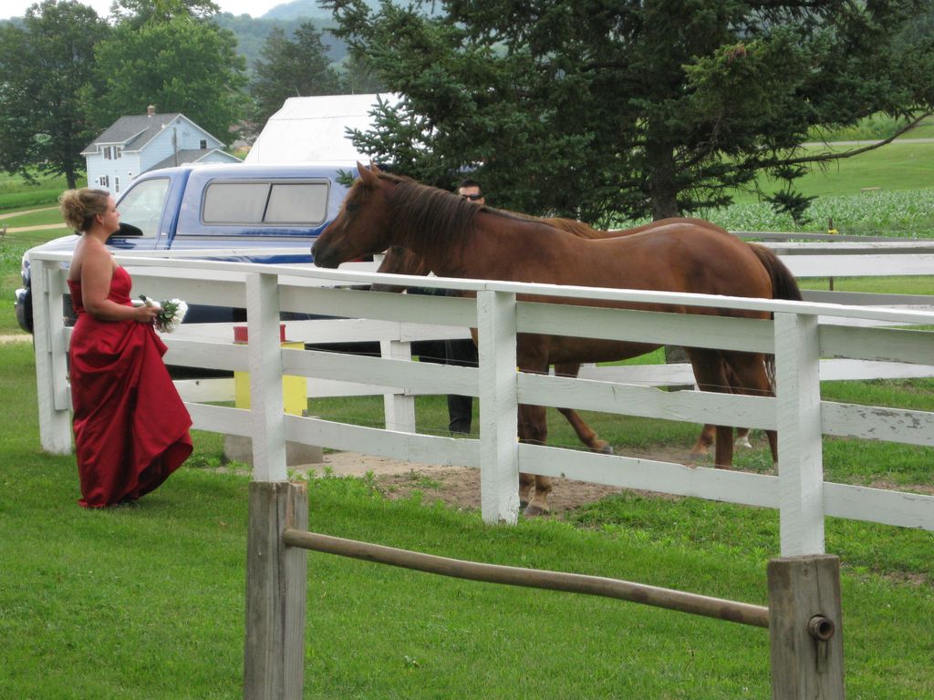 Bridesmaid Meets Karens Horses