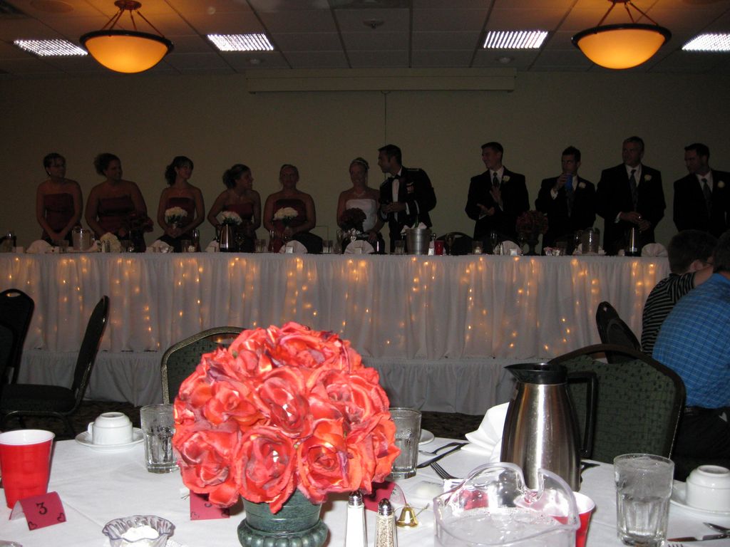 The Wedding Party give their Speeches