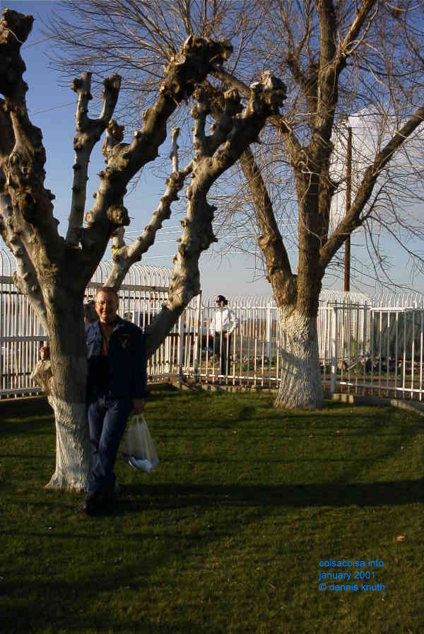 Dennis Poses with a tree at the rodeo