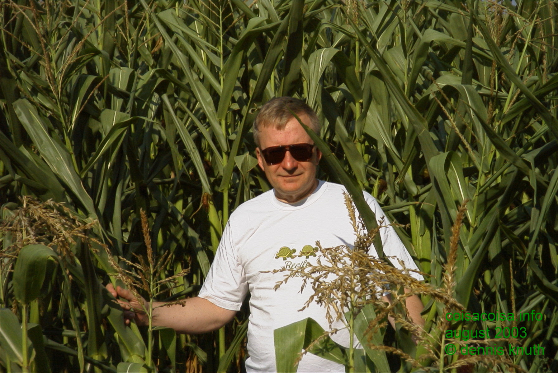 Dennis Knuth in the cornfield