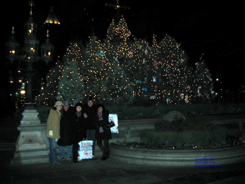 New York City Hall Park Christmas Trees