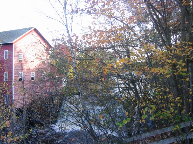 Dells mill throught the leaves