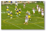 Packers on the playing field