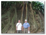 Tree roots on Corcovado with Helton and Gary