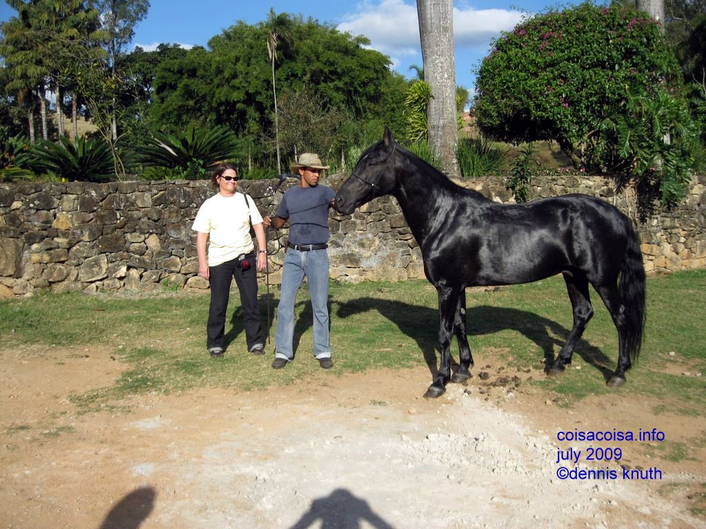 Sherri with the Brazilian trainer and the black stallion