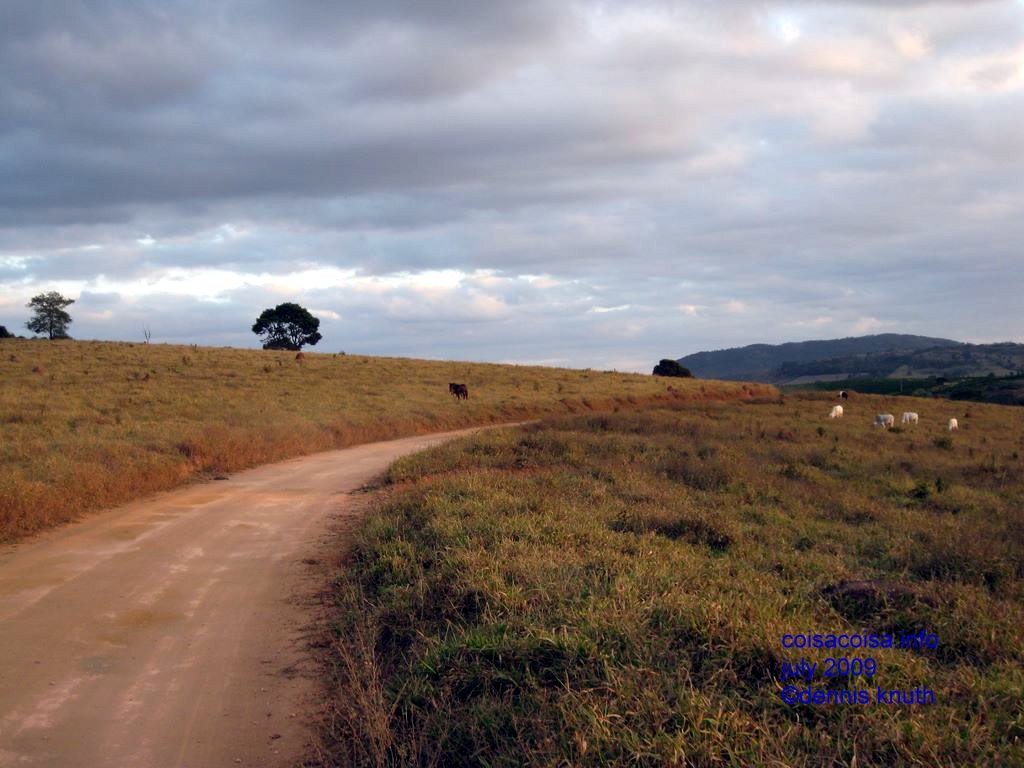 Road into the farm land
