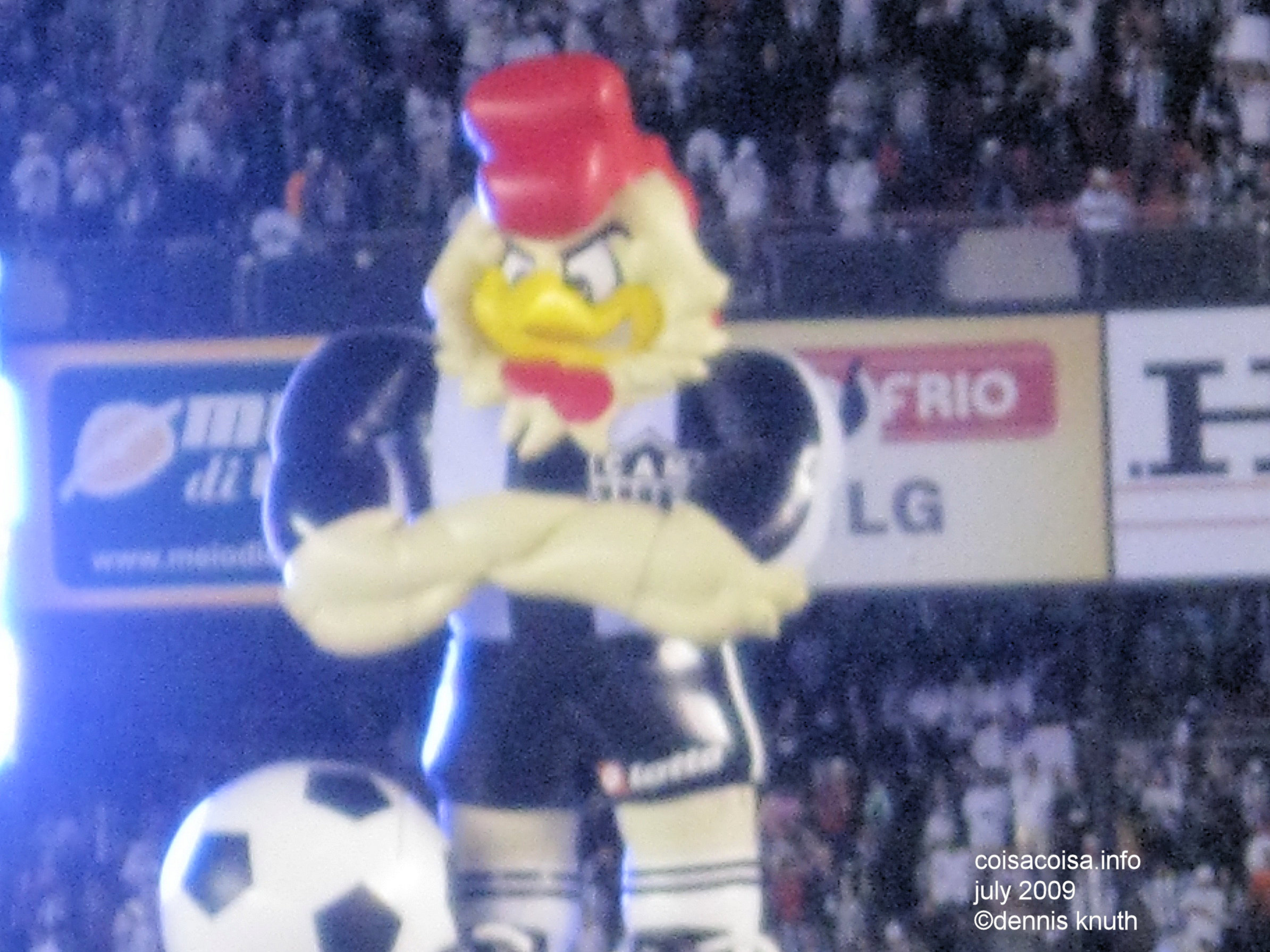 Galo, the big rooster, Won the game