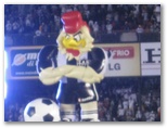 Galo, the Rooster Mascot at soccer game in Belo Horizonte Brazil