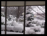 View of 20 inches of Snow in Queens in 2010