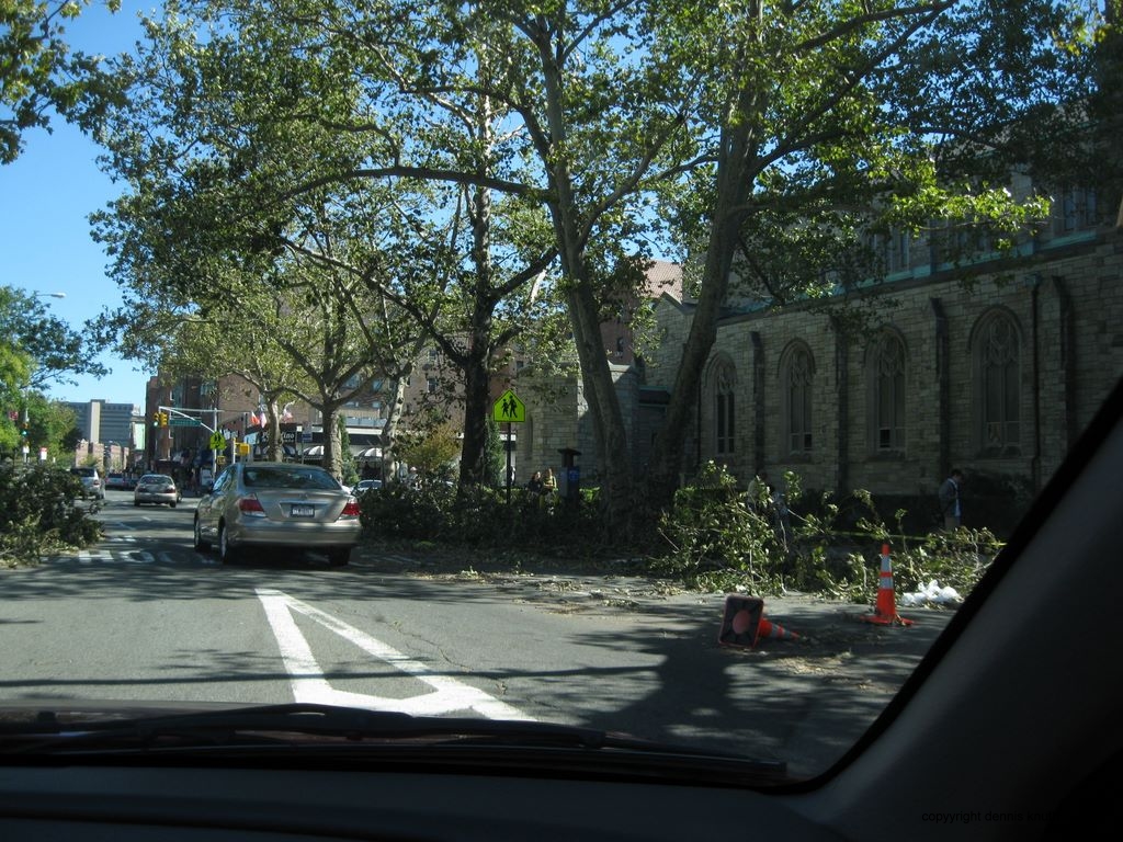 Trees are Down on Queens Boulevard (large)