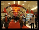 Concinha in Macy's at Christmas time